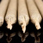 THCa Pre-Rolls vs Flower @ HighHippy.com Blogs CALI-GROWN - OVERNIGHT SHIPPING