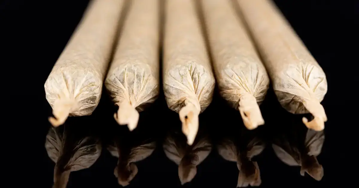 THCa Pre-Rolls vs Flower @ HighHippy.com Blogs CALI-GROWN - OVERNIGHT SHIPPING