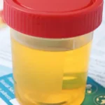 Does THCa Show Up on a Drug Test? @ HighHippy.com Blogs