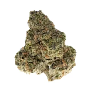 Governmint Oasis THCa Flower Hybrid
