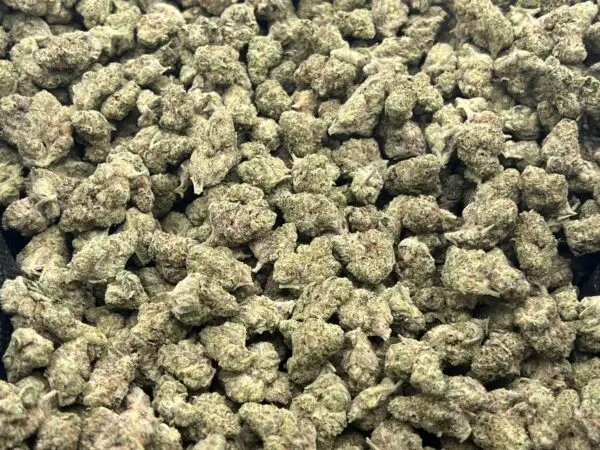 Red Bull Smalls THCa Flower Indica