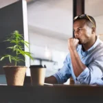 THCa for Creativity & Focus @ HighHippy.com Blog