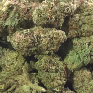 Prohibition Glue