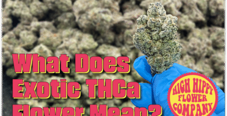 What Does Exotic THCa Flower Mean? BLOG